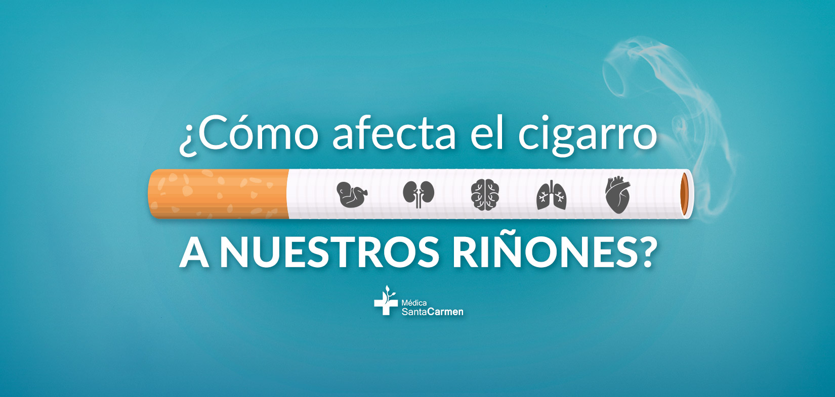 Cómo afecta el cigarro a los riñones, sobre todo en pacientes con  insuficiencia renal crónica. - Médica Santa Carmen