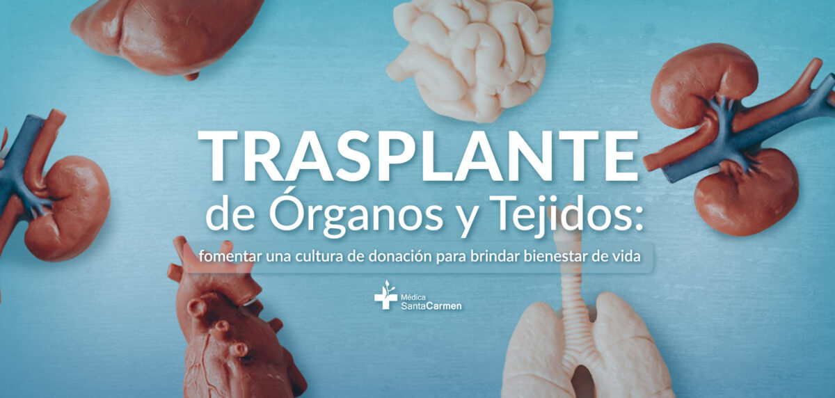 Trasplante de Órganos y Tejidos: fomentar una cultura de donación