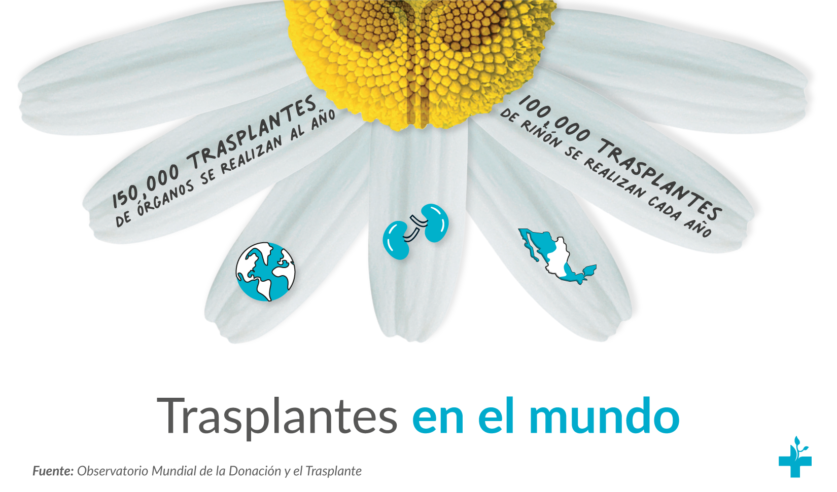 Día Mundial de Trasplante de Órganos y Tejidos