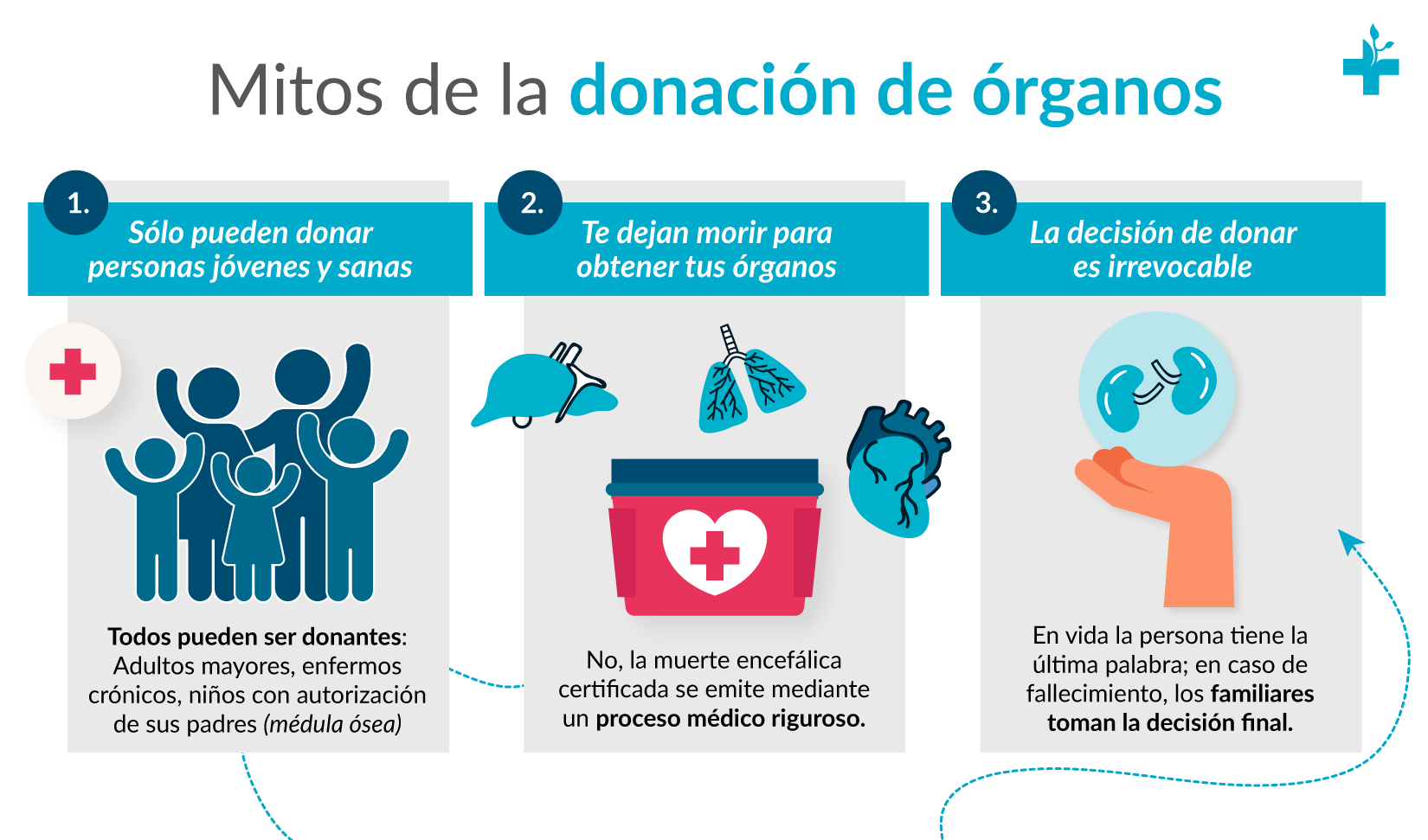 Mitos sobre la donación de órganos y tejidos