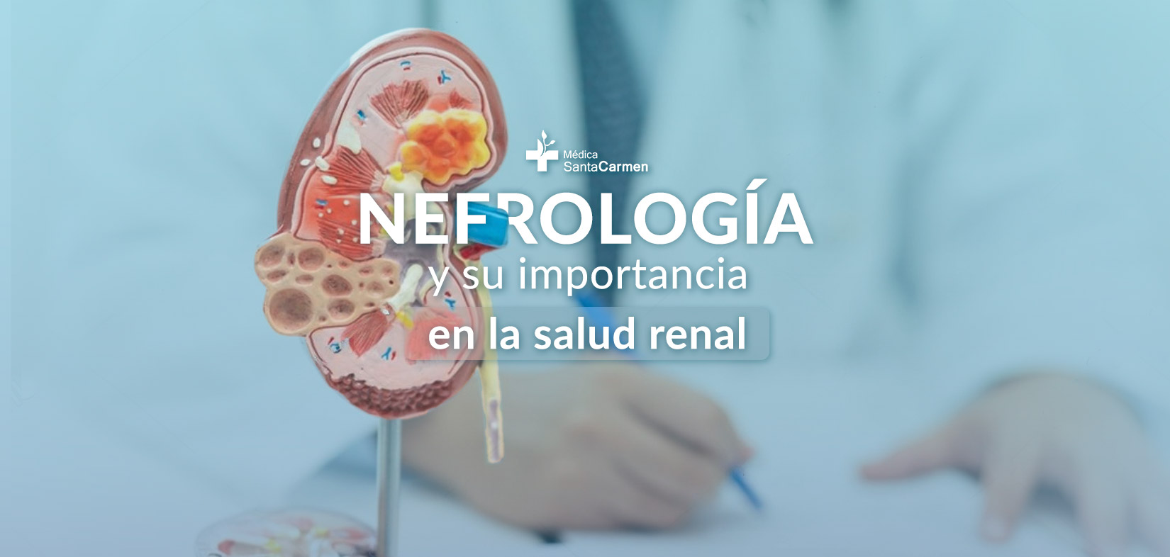 Nefrología y su importancia en la salud renal