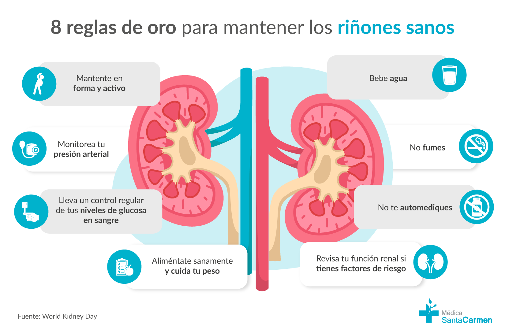 8 Reglas de oro para mantener tus riñones sanos