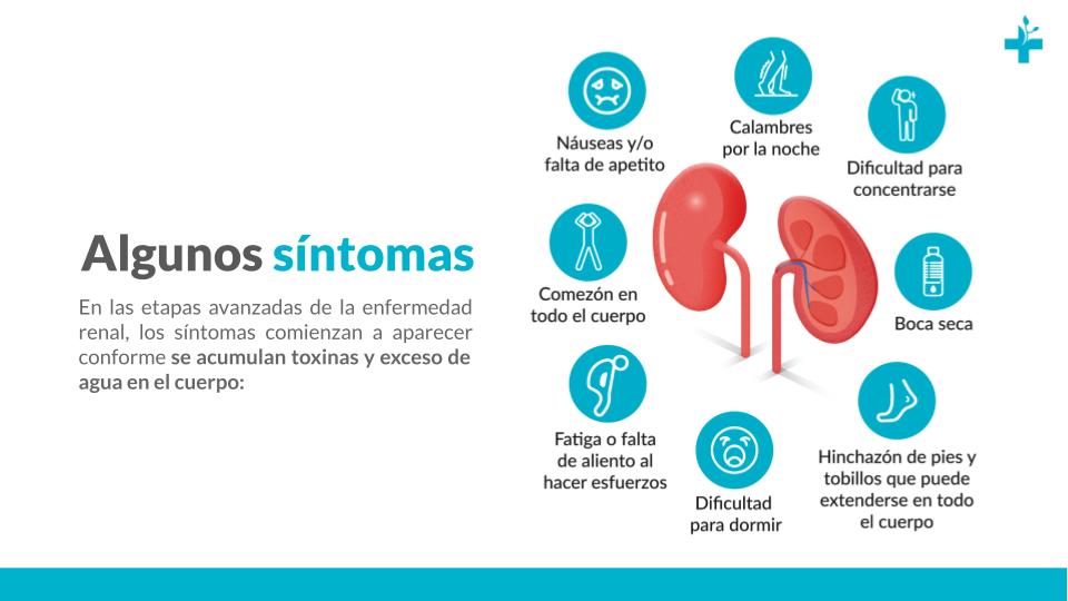 síntomas que pueden presentarse en etapas avanzadas de la enfermedad renal