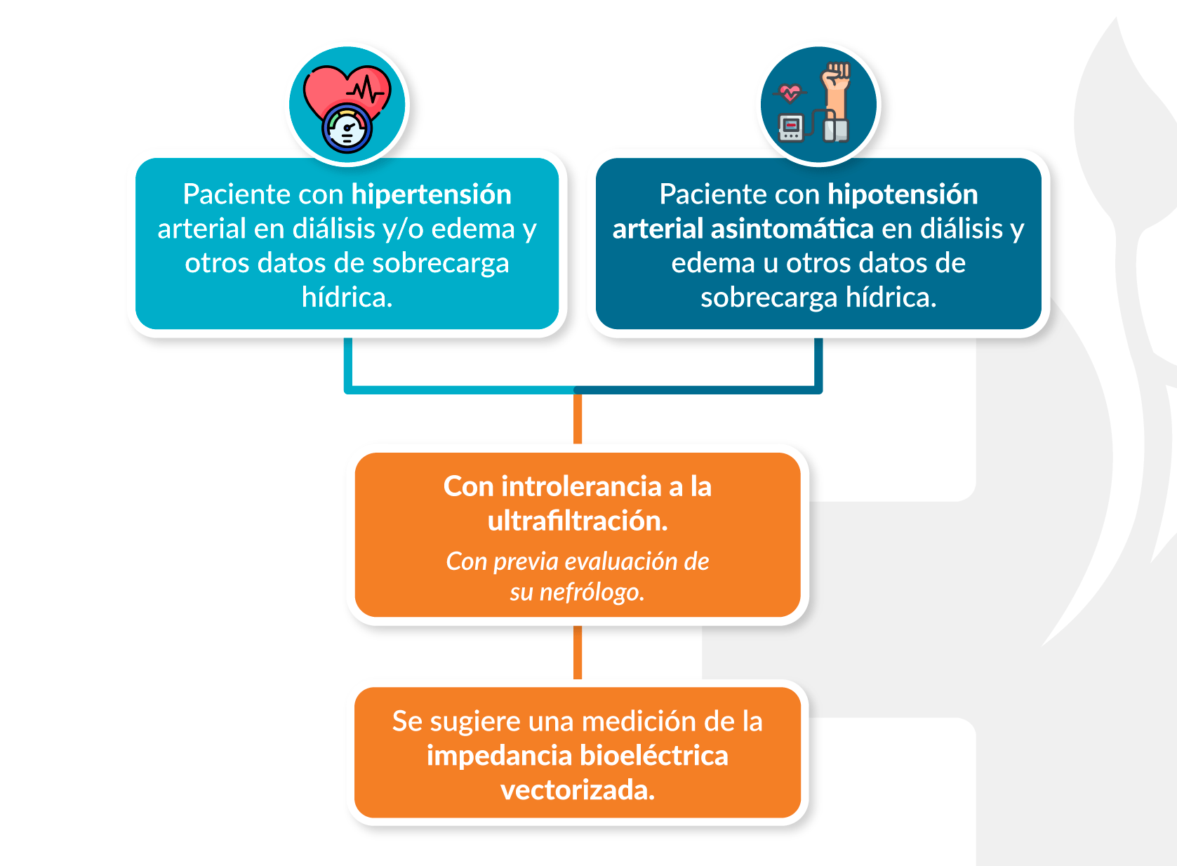 Análisis de Impedancia Bioeléctrica Vectorizada (BIVA)