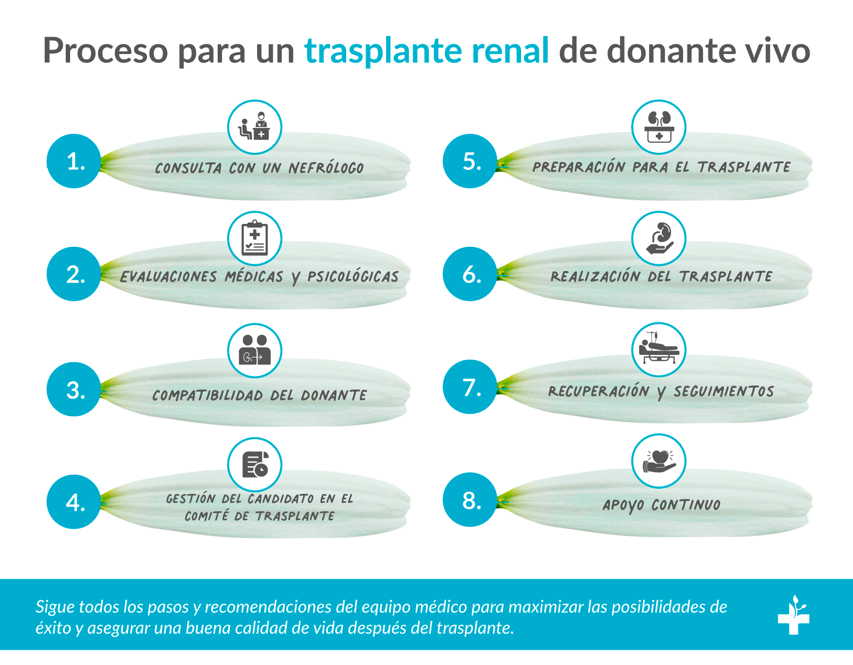 Proceso de un trasplante renal