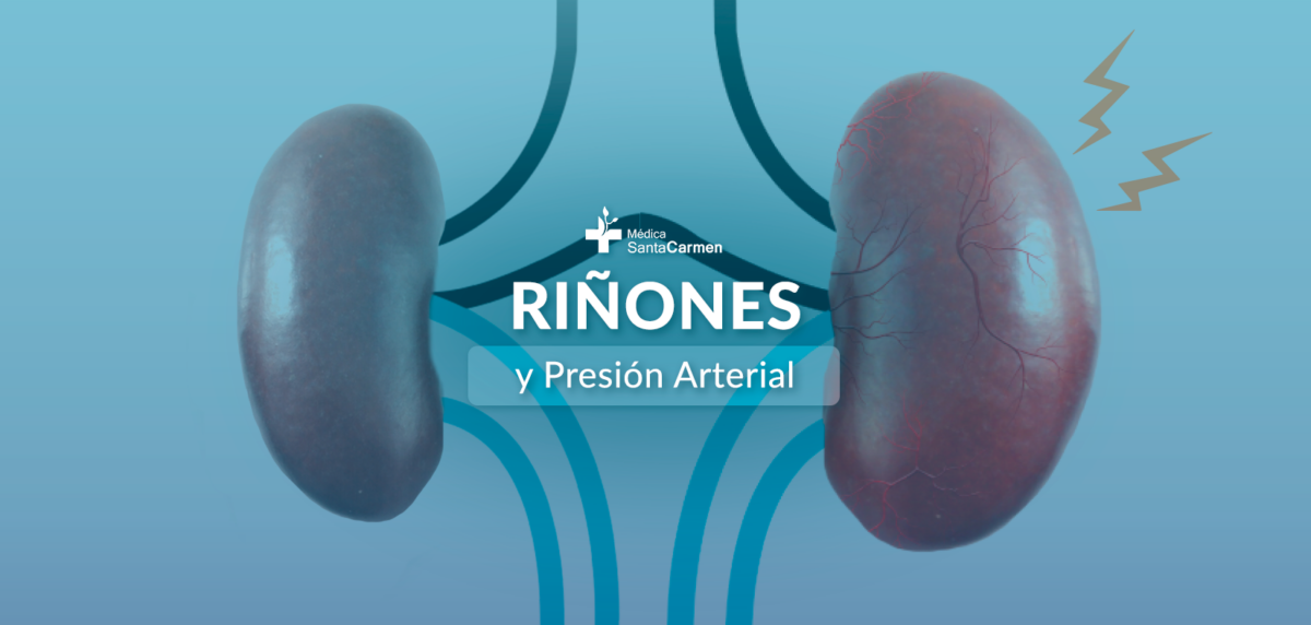 Riñones y la presión arterial