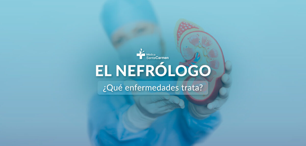 Médico nefrólogo con un riñón en la mano para describir lo que hace este especialista